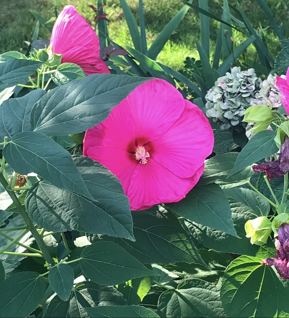 Spring is blooming!!! 