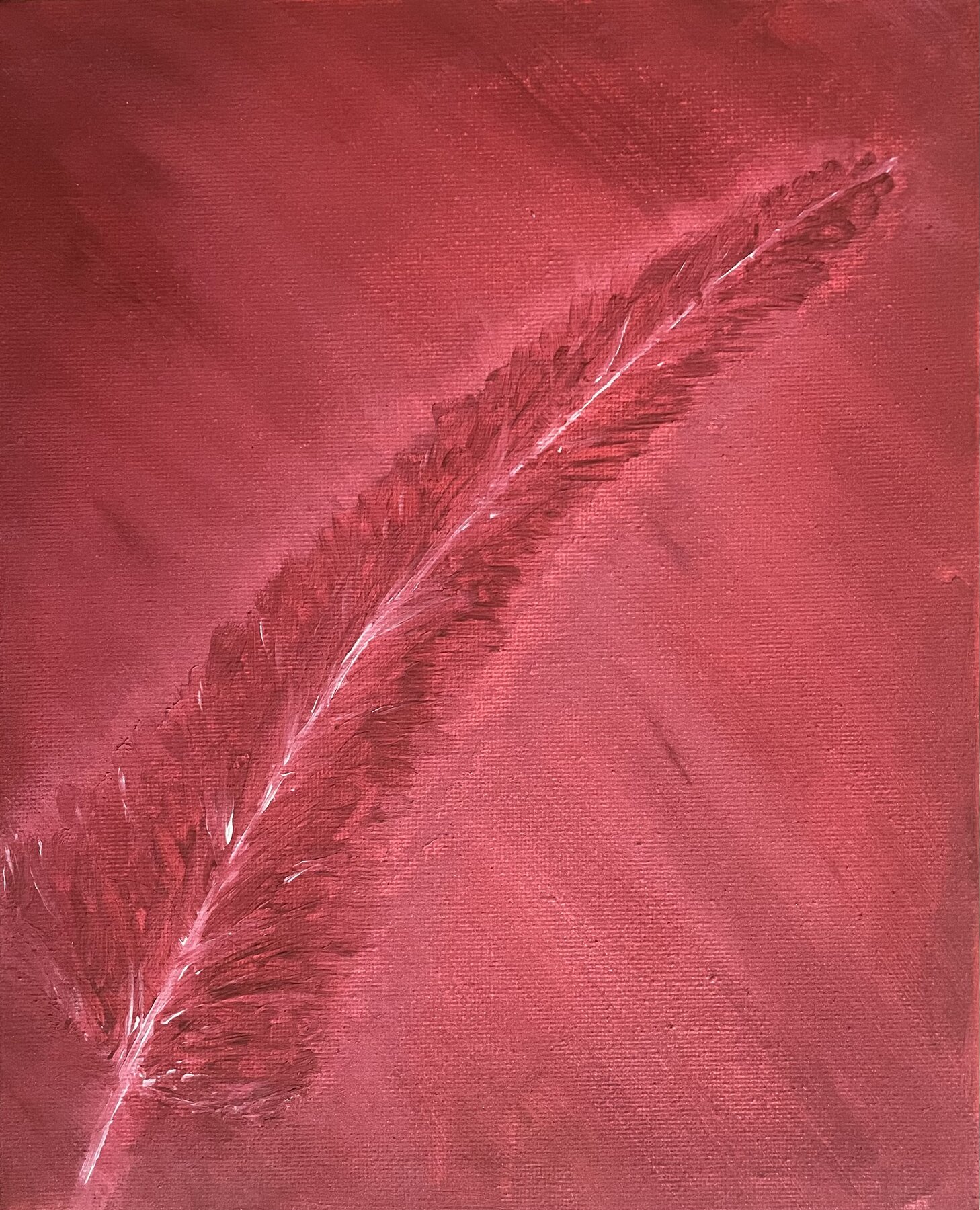 all red in red feather 