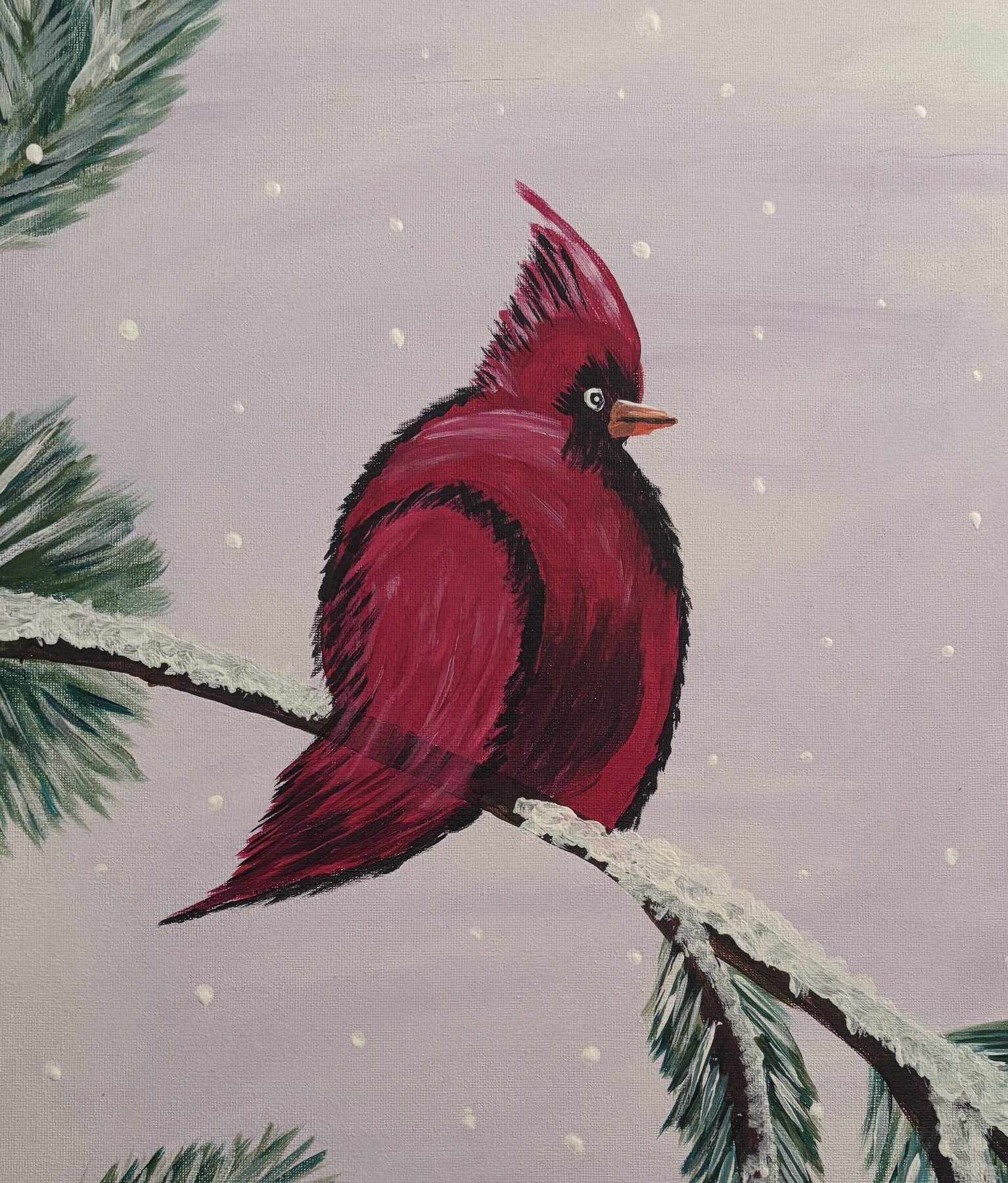 Winter Cardinal