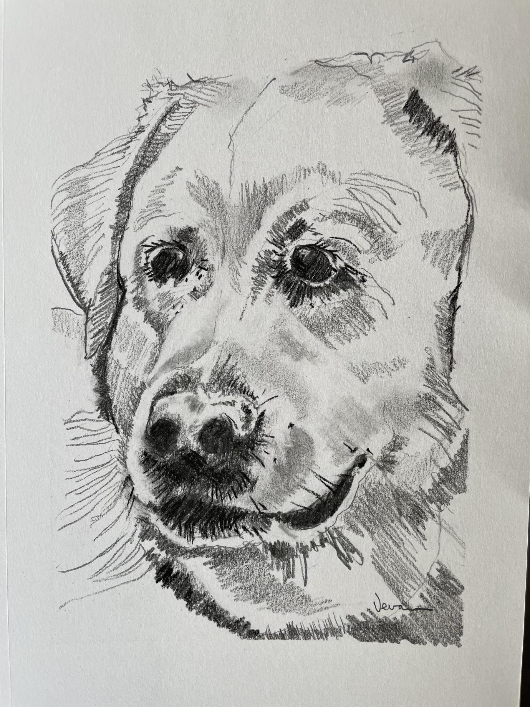 Graphite and charcoal on paper