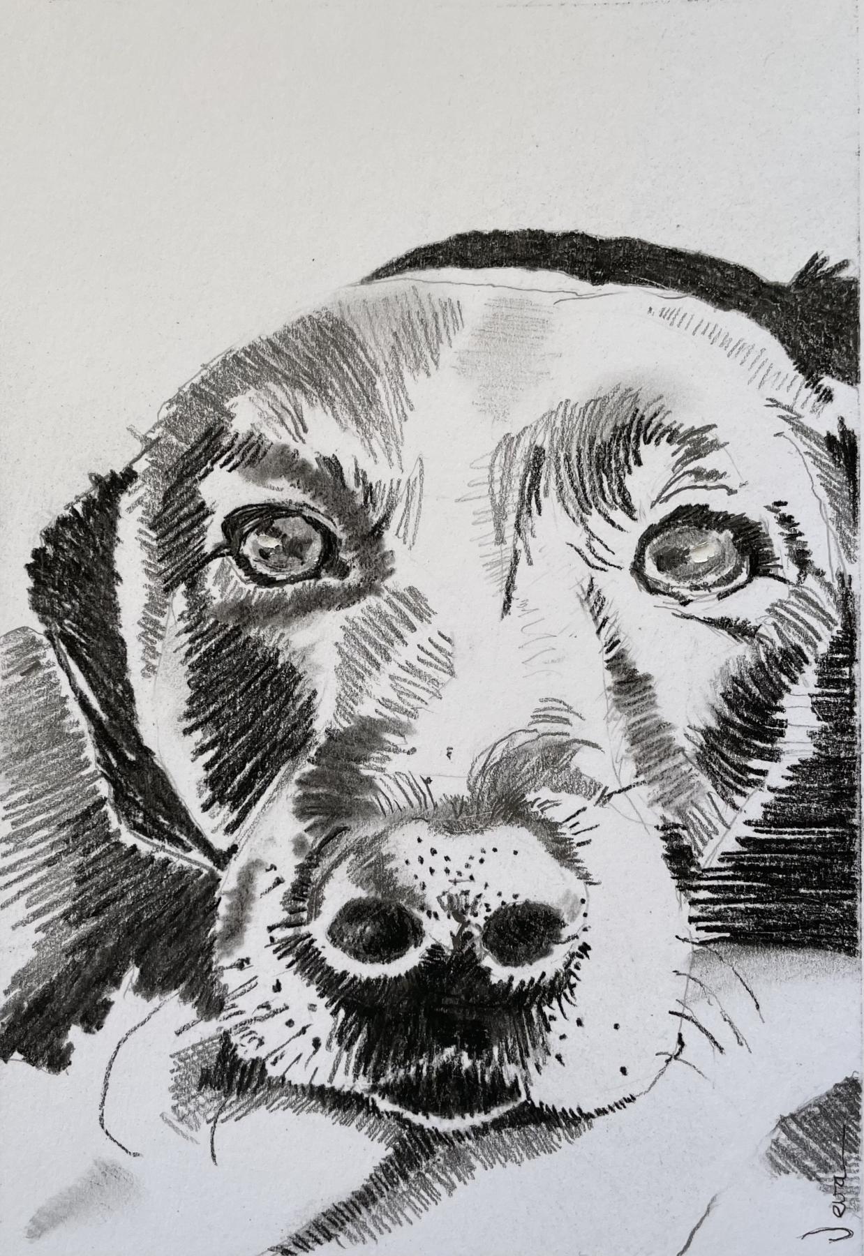 Graphite and charcoal