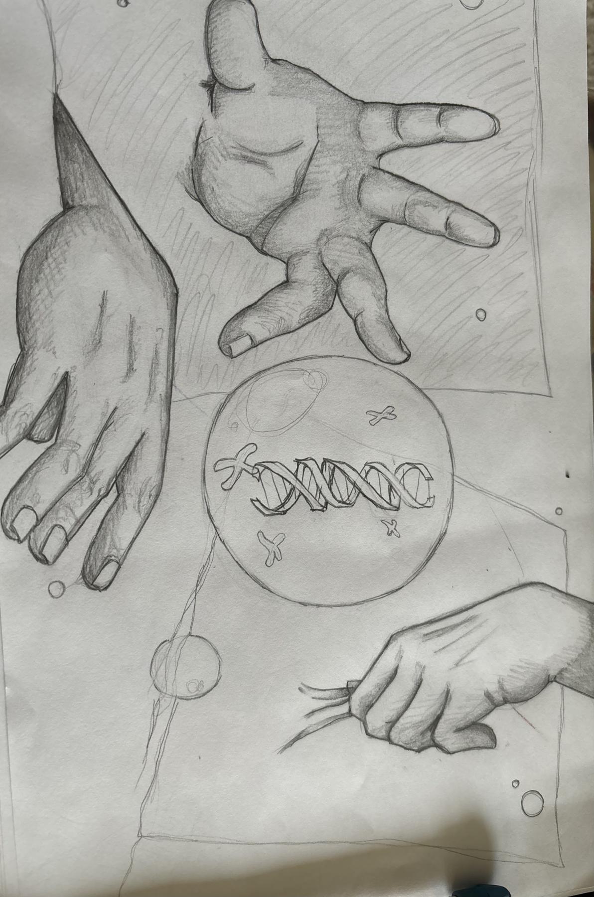 Graphite Pencil on Paper