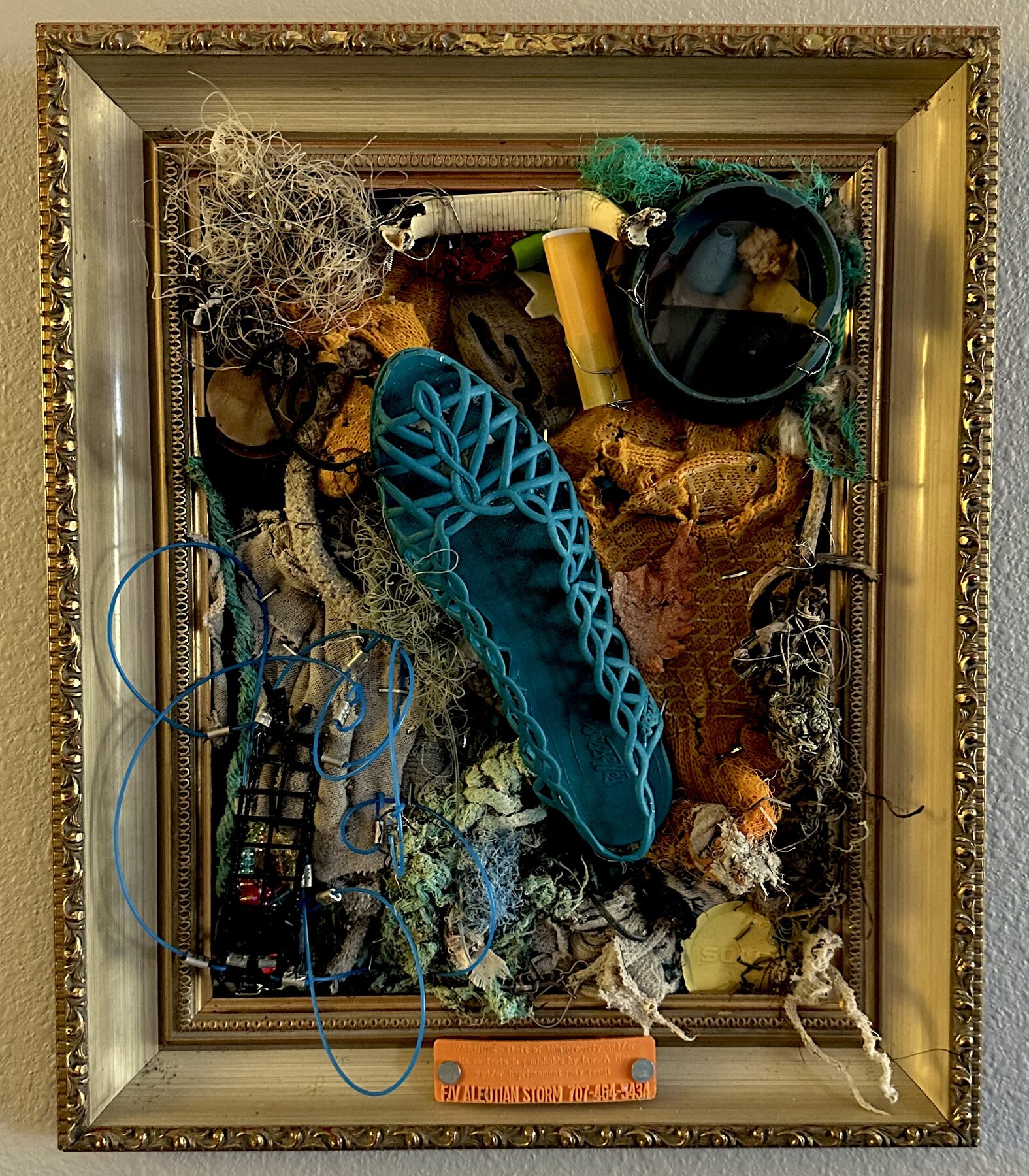Picture of framed ocean debris