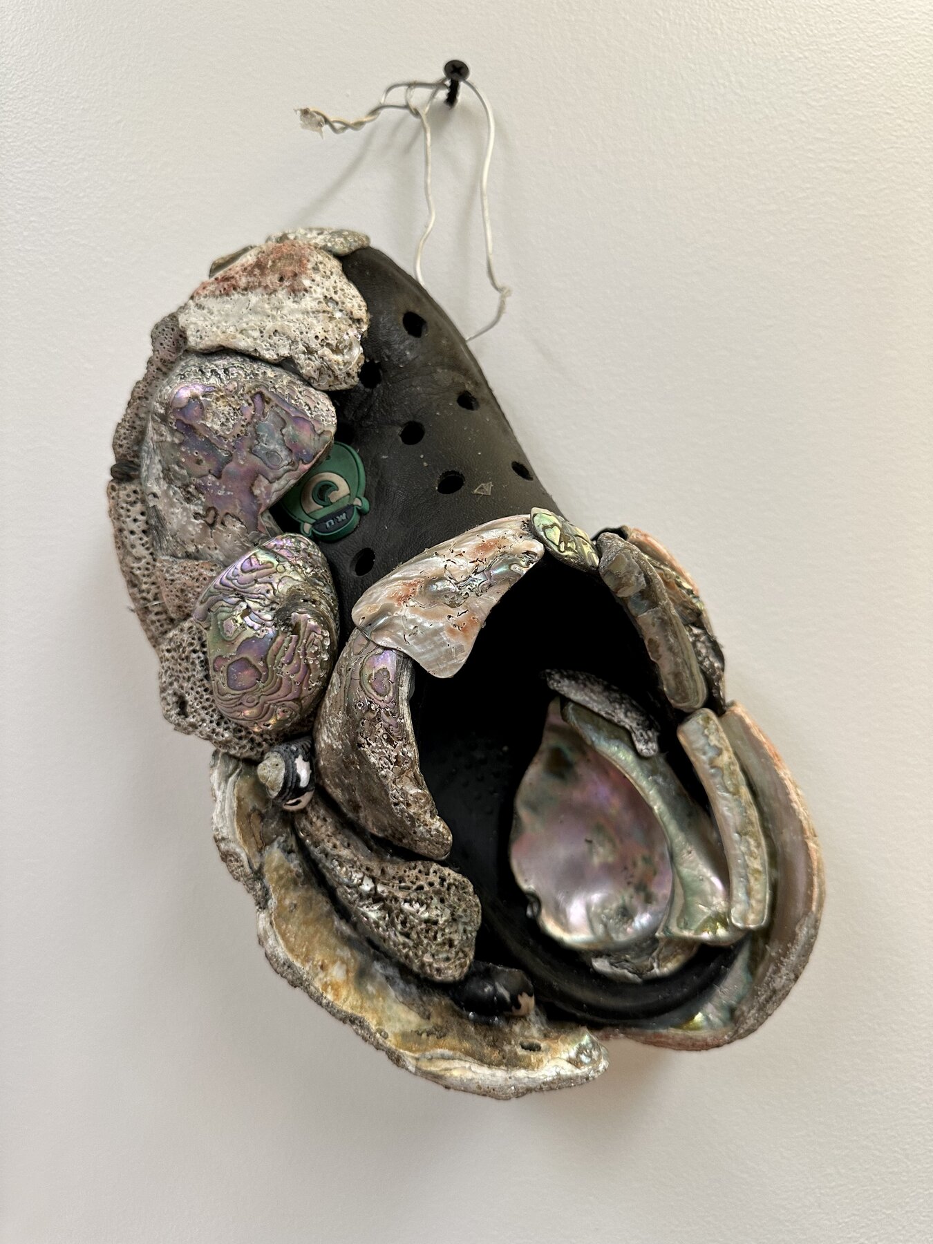 Croc with abalone shells.