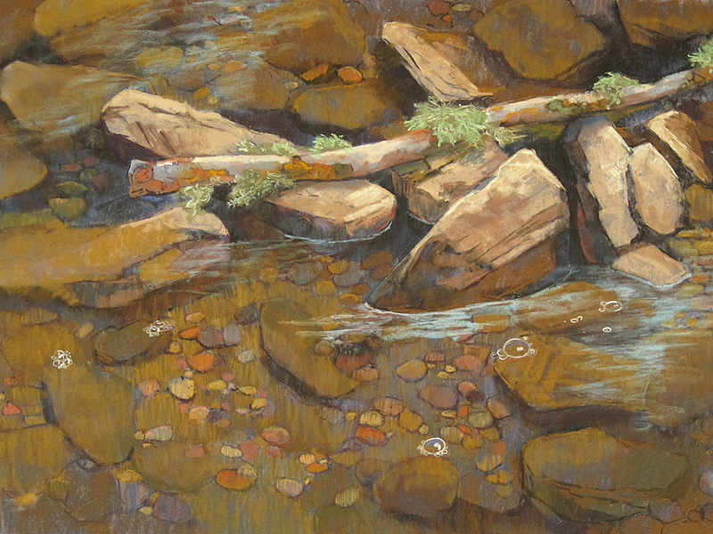 Rocks and sticks in clear creek