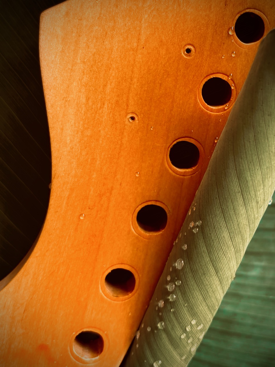Photograph of guitar neck and plant, June, 2025.