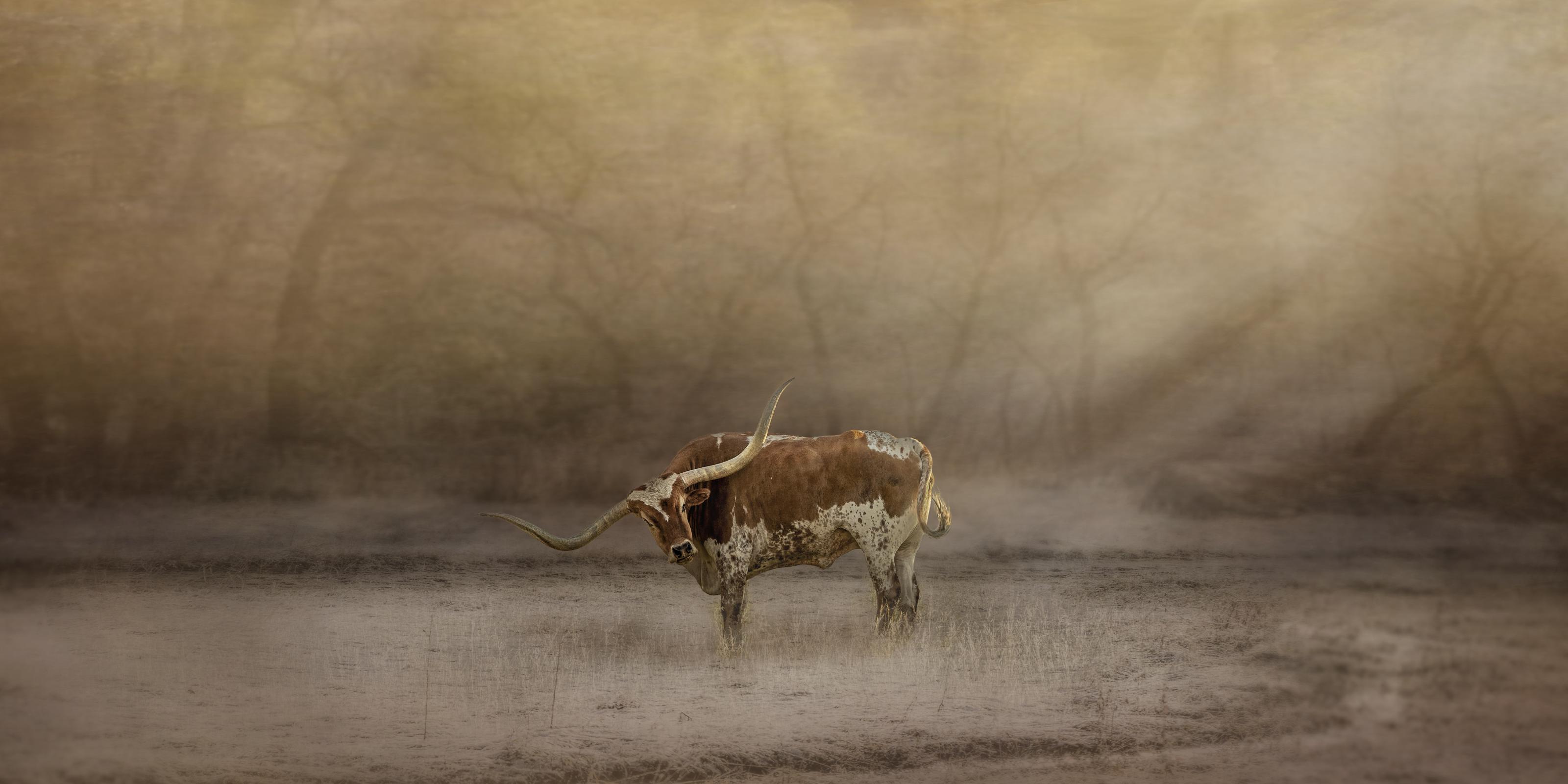 Fragment of the Herd