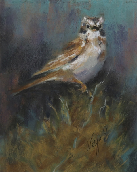 Twilight Serenade- Sage Sparrow Pastel Painting by Gail Watford 