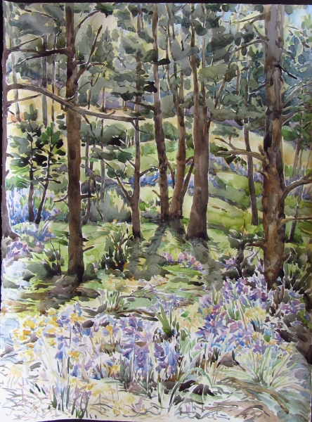 Kristen Muench Watercolor Bluebells near the Fairy Stump