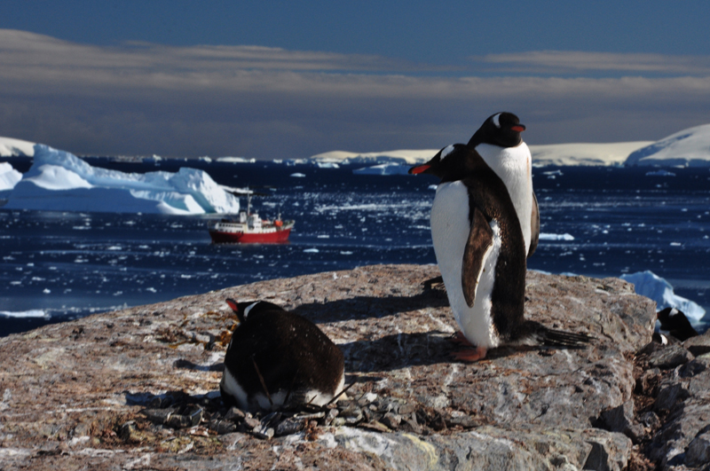 Antarctica