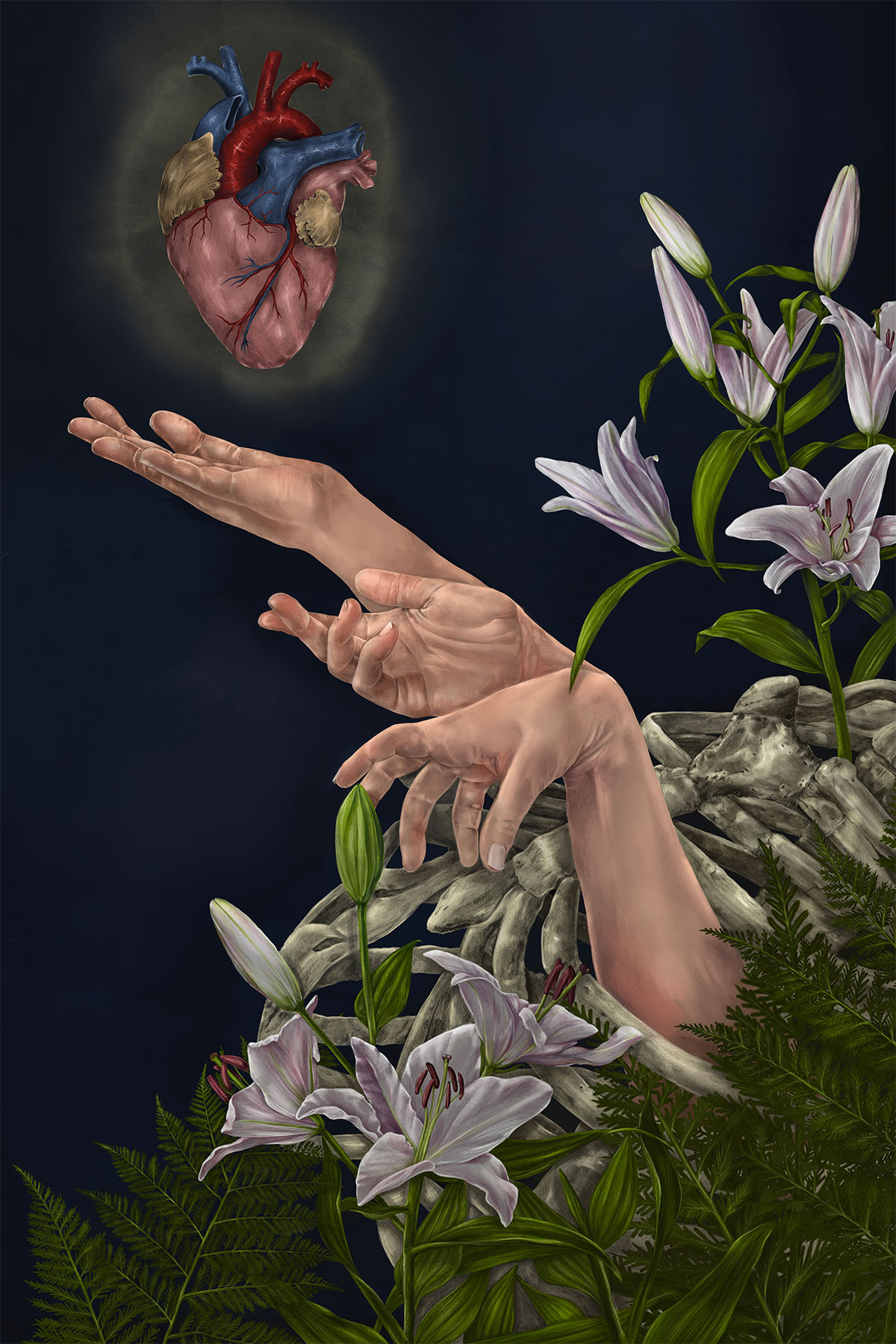 From within a skeletal ribcage covered by fern and lilies, three hands sequentially emerge towards a heart 