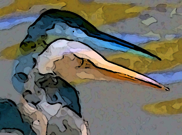 Great White Heron 2