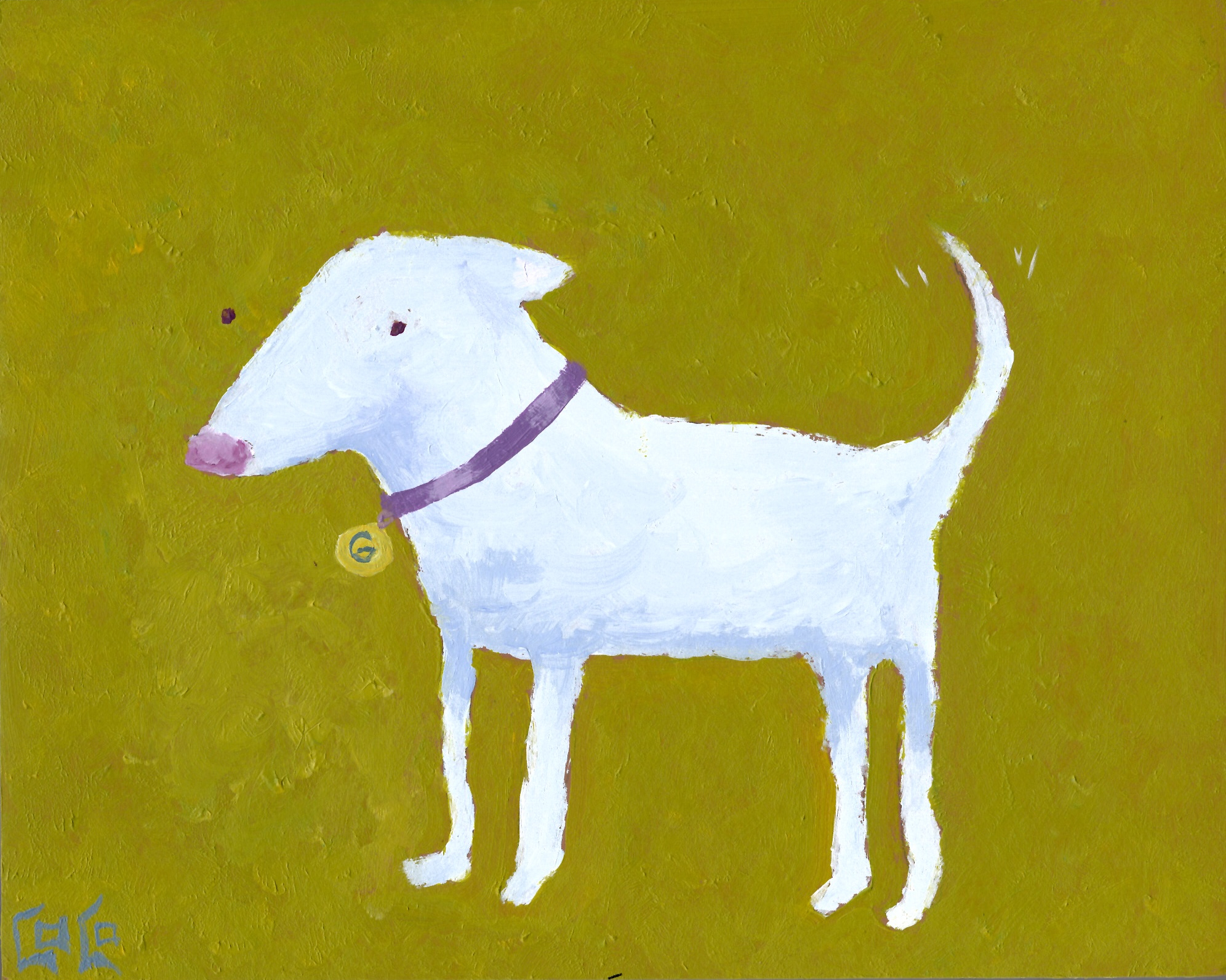 white dog on green background