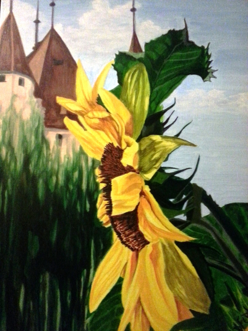 Sunflower AtTombs Castle