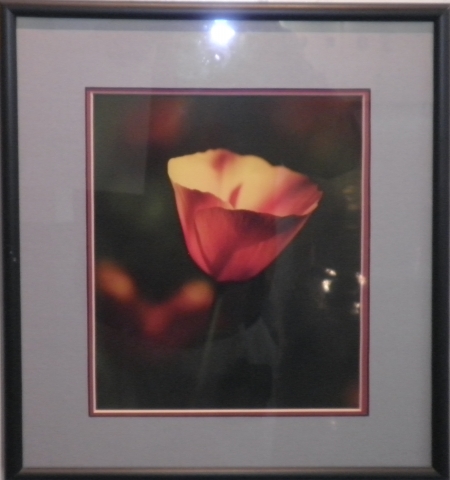 2nd Annual Exhibit Flame