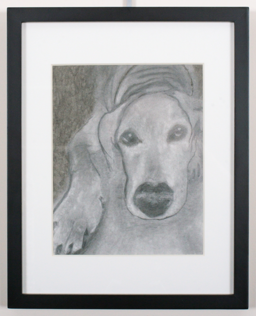 9th Annual Exhibit Bailey