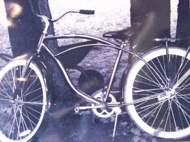 20th Annual Exhibit Treeway Cruiser