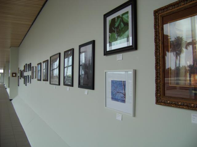 5th Annual Exhibit Another one of the walls of Adult Artwork 