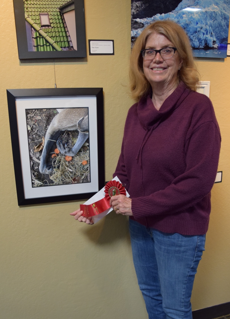 11th Annual Exhibit Kangaroo Paws