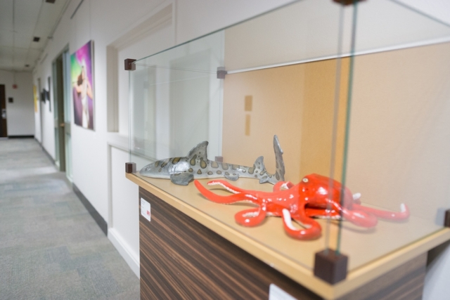 9th Annual Exhibit Leopard Shark & Giant Pacific Octopus