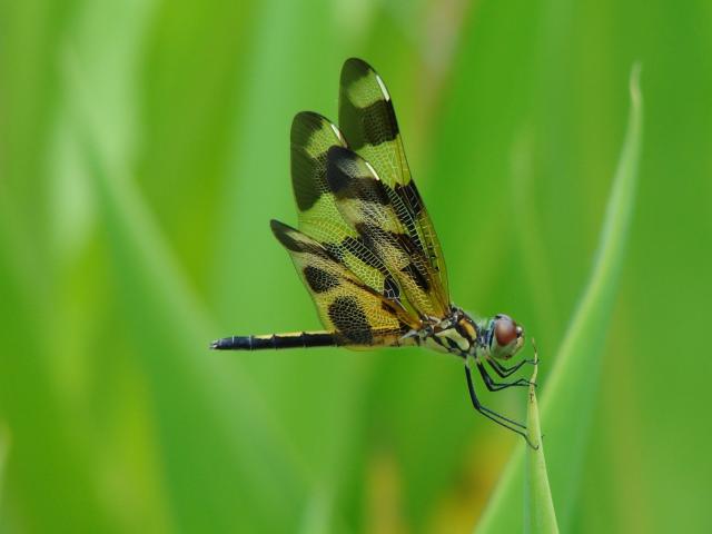 4th Annual Exhibit Holding On