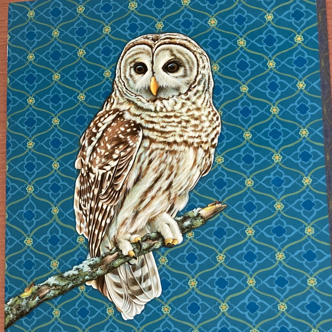 5th Annual Exhibit Nigh Skies and Fireflies