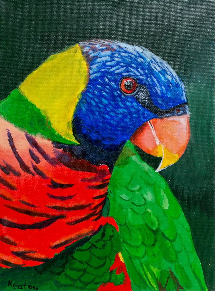 3rd Annual Exhibit Colorful Parrot