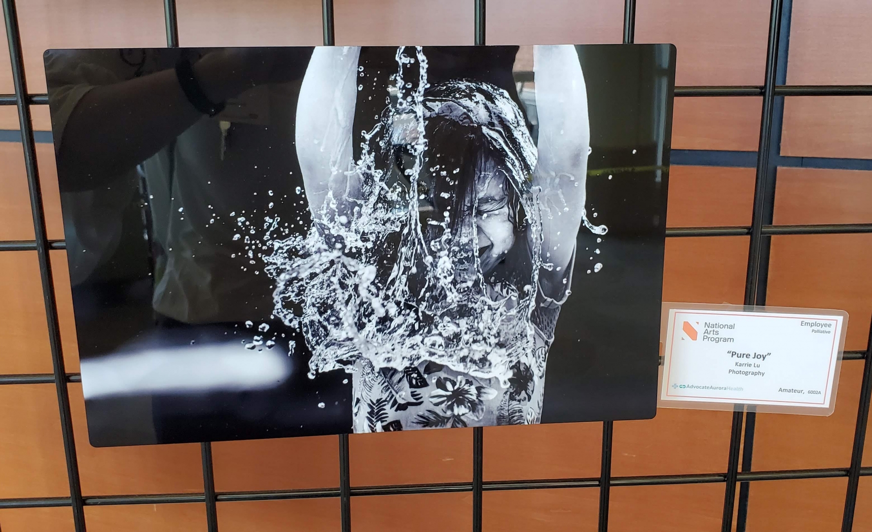 6th Annual Exhibit Pure Joy by Karrie Lu, Second Place Adult Amateur Award Winner