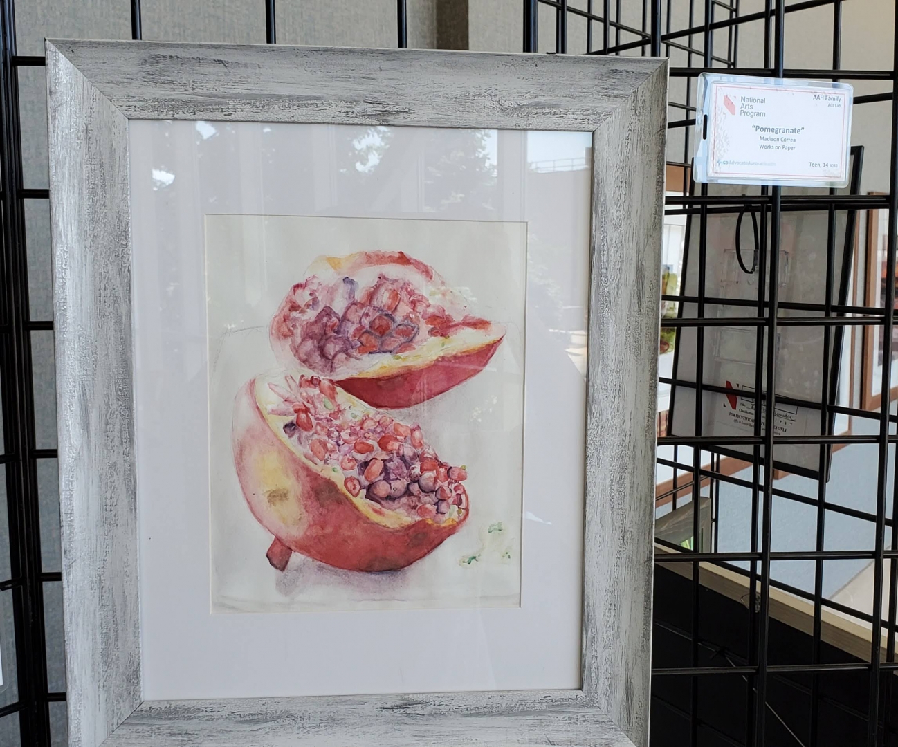 6th Annual Exhibit Pomegranate