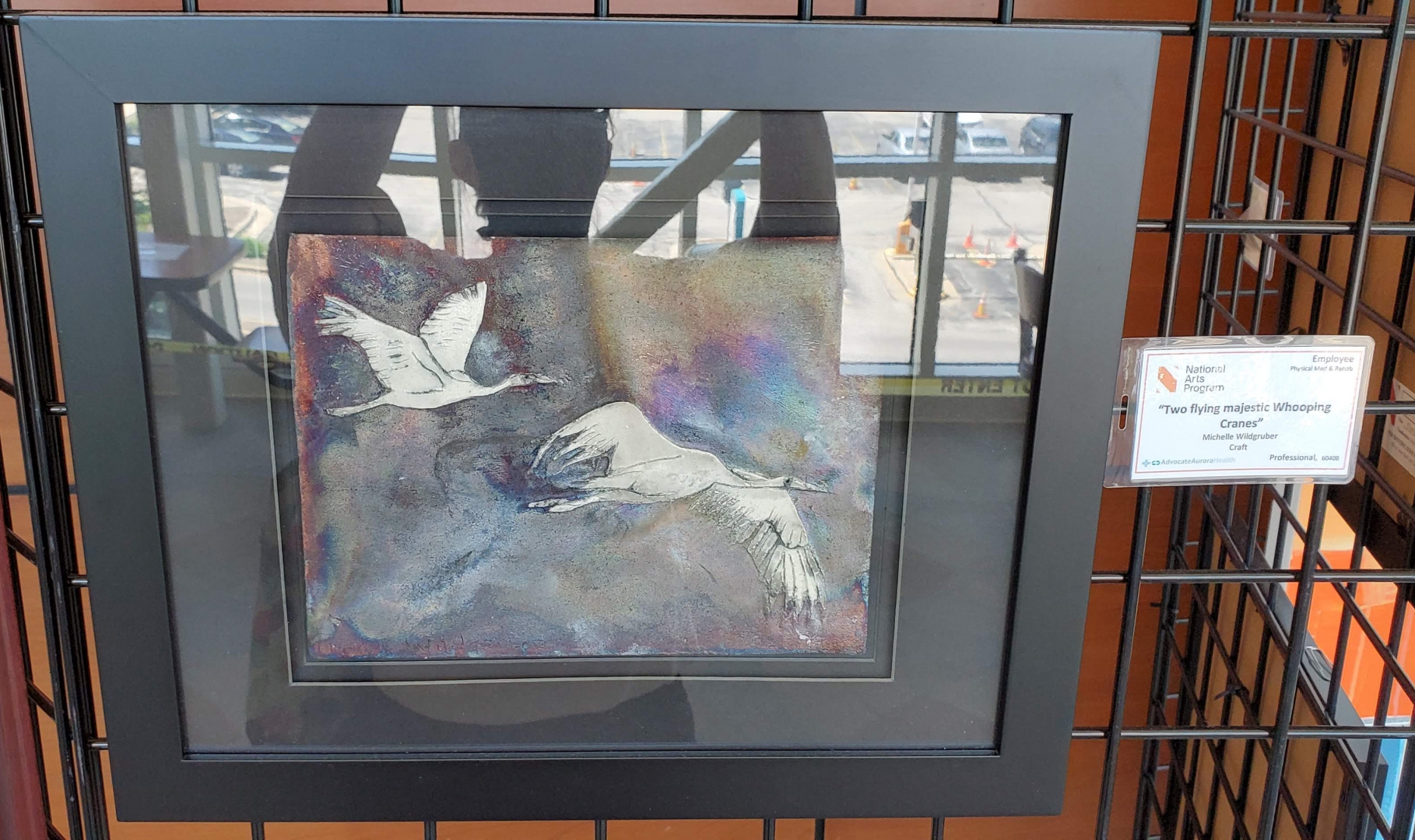 6th Annual Exhibit Two flying majestic Whooping Cranes