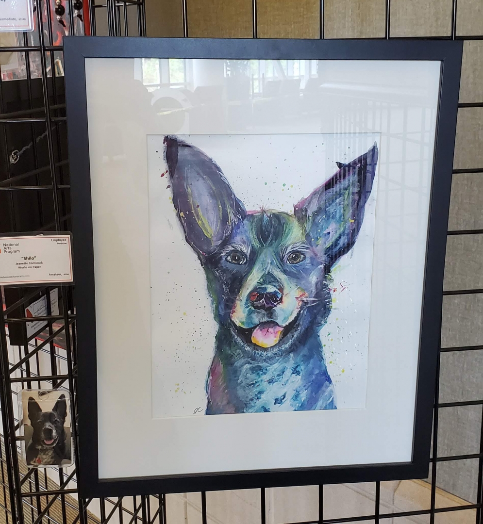 6th Annual Exhibit Shilo