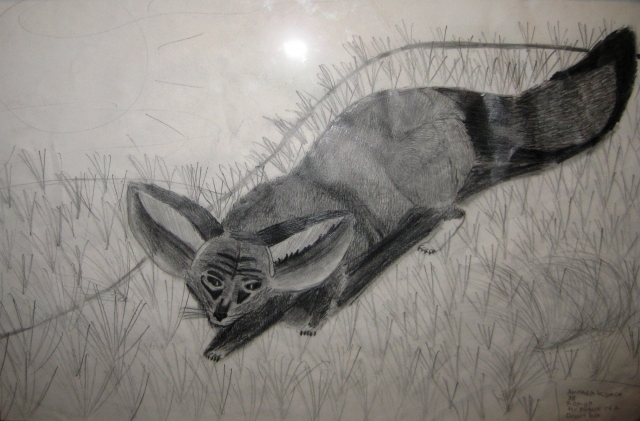 7th Annual Exhibit Desert Fox