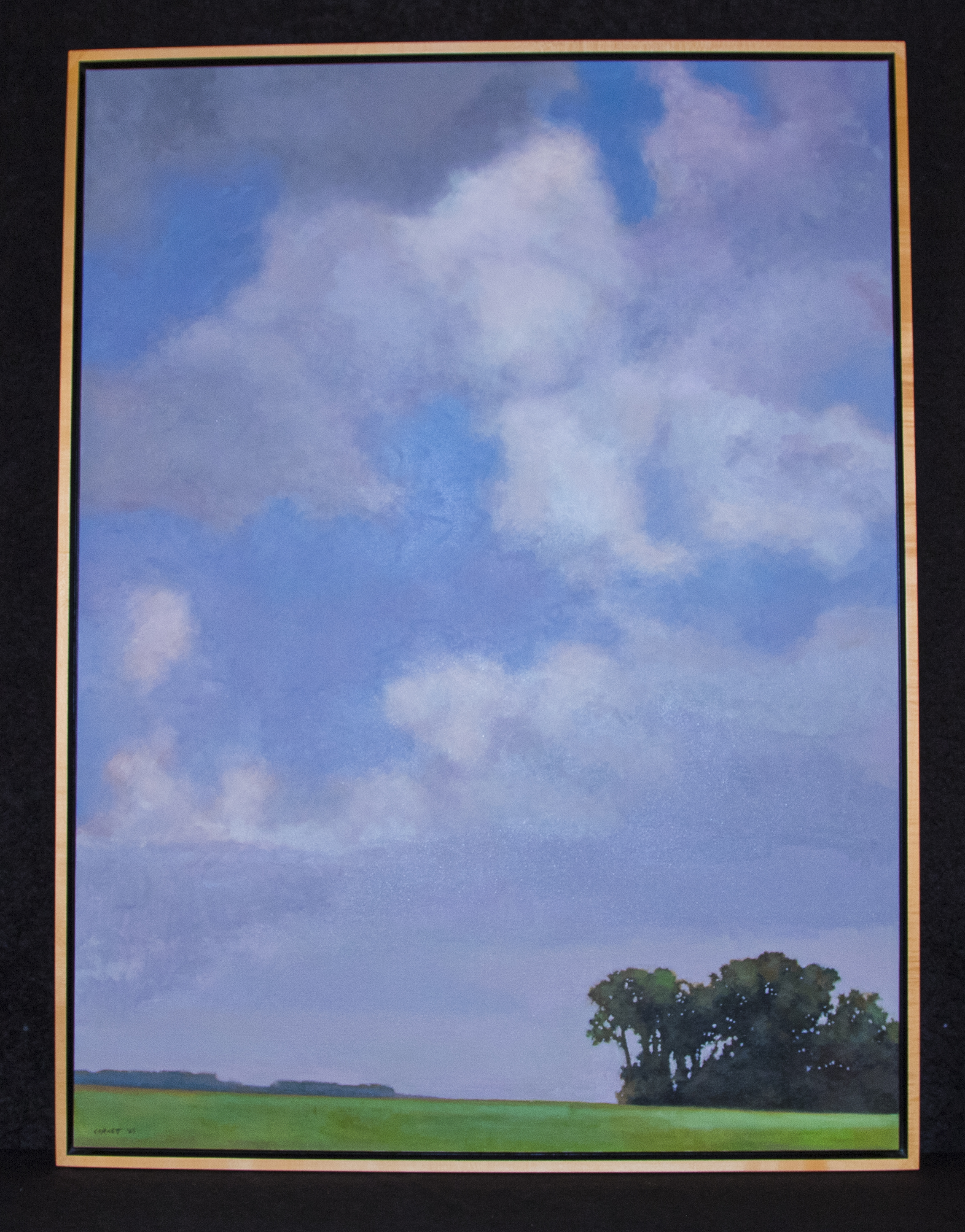 Big Skies near Crookston, MN #2