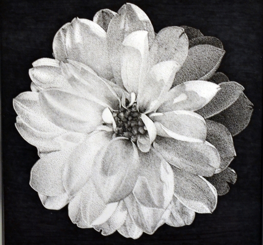 3rd Annual Exhibit Flower