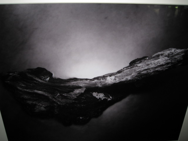 3rd Annual Exhibit Creek with Driftwood