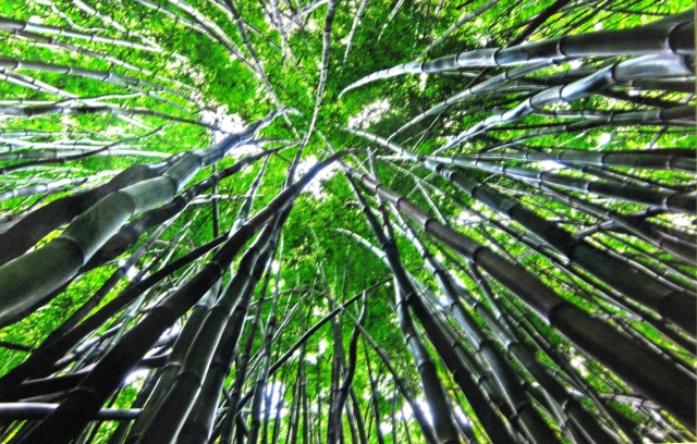 7th Annual Exhibit Kriss Kross