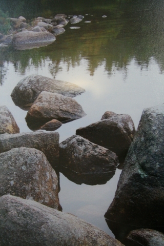 7th Annual Exhibit Jason's Pond ...