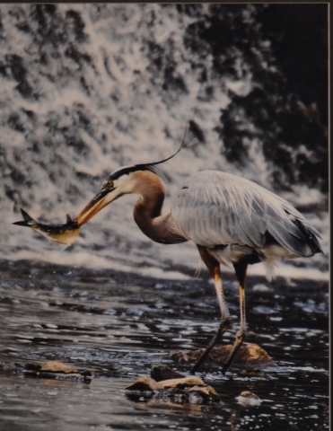 3rd Annual Exhibit It's Dinner Time