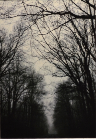 4th Annual Exhibit Just Before Snow Falls