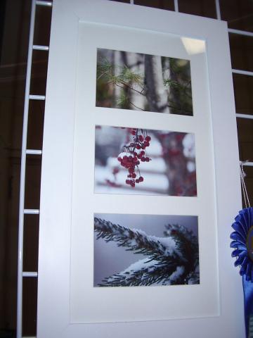3rd Annual Exhibit Maine Winter Study