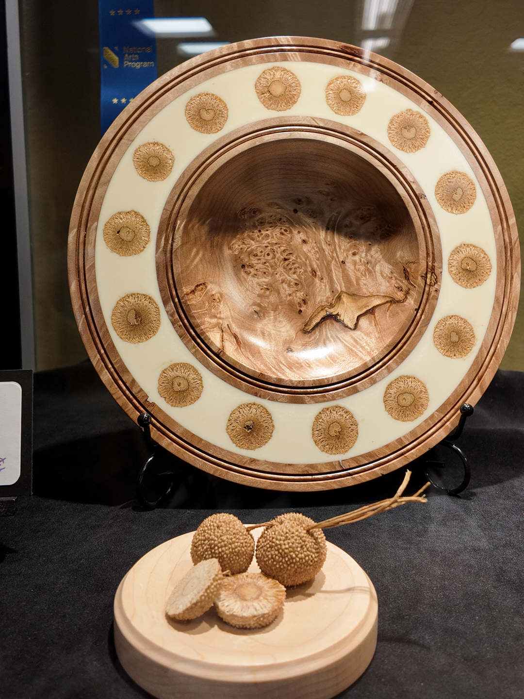 Platanus Occidentalis