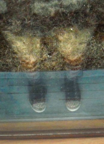 9th Annual Exhibit Laces