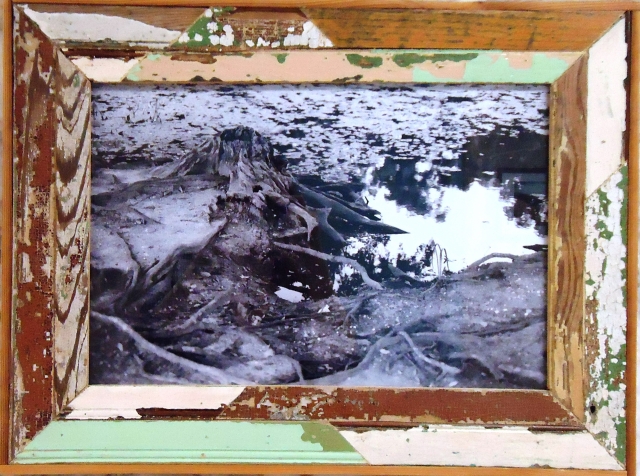 8th Annual Exhibit Stump & Lagoon, City Park, New Orleans