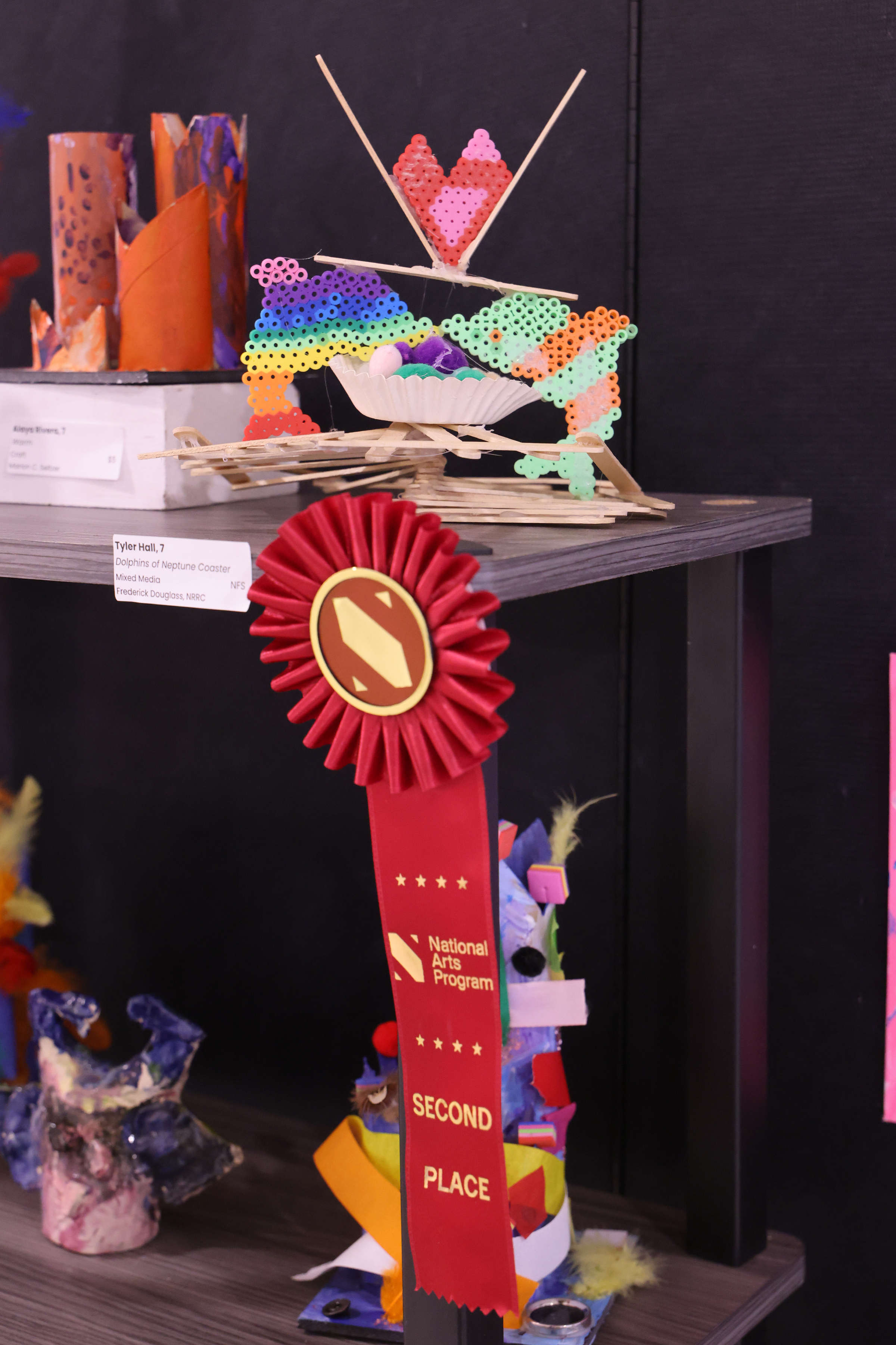 Dolphins of Neptune Coaster