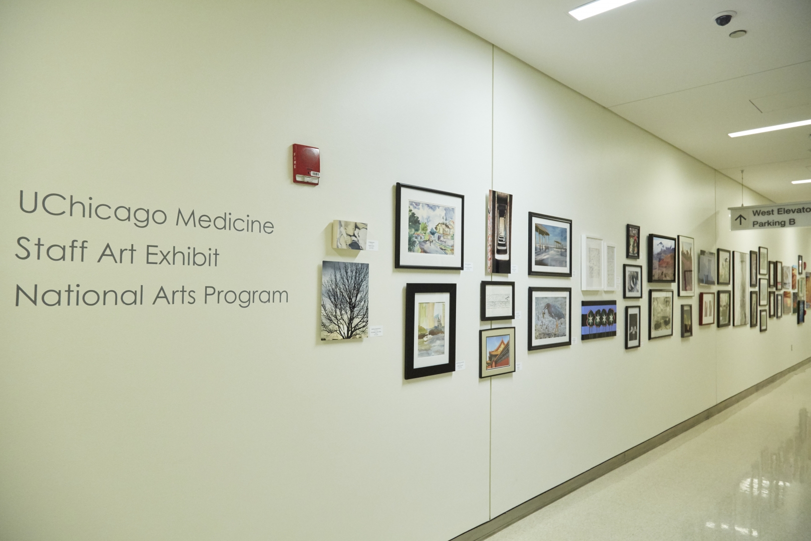 13th Annual Exhibit UChicago corridor lined with artwork from this years exhibit.