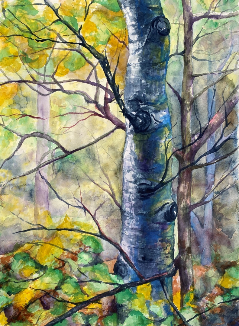 15th Annual Exhibit Through the Woods