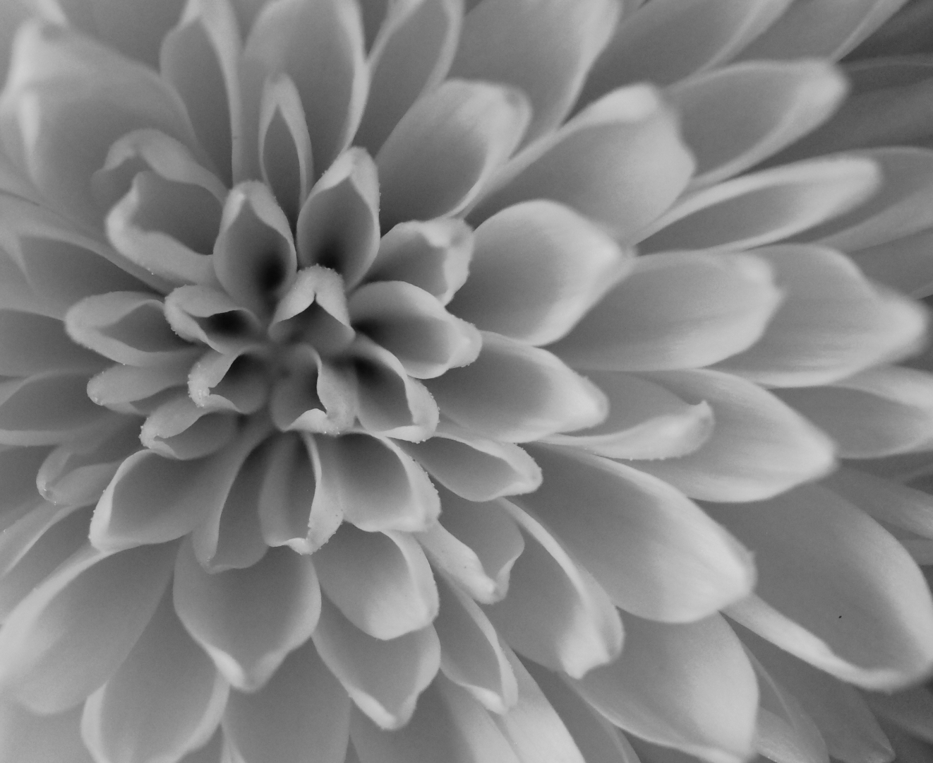 11th Annual Exhibit Light and Shadow