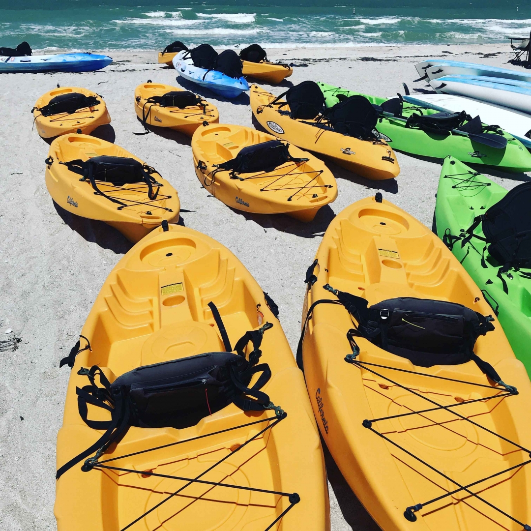 12th Annual Exhibit Appreciation Day at Sand Key