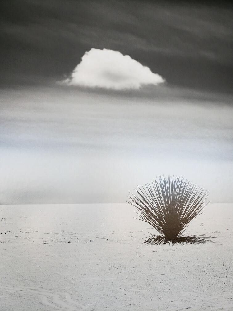 9th Annual Exhibit Small Talk