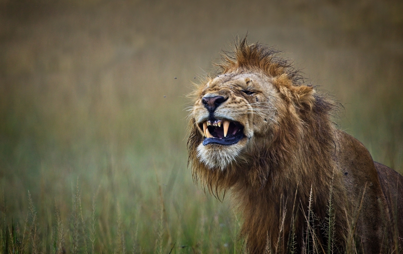 13th Annual Exhibit I'm Smiling, Now Take My Picture